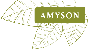 Amyson logo