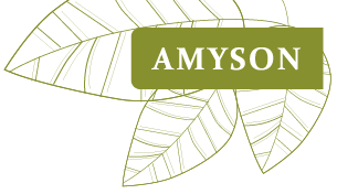 Amyson logo